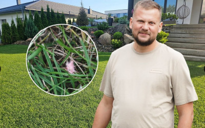 Šis sezonas vejoms – kaip iš vadovėlio apie netikėtumus